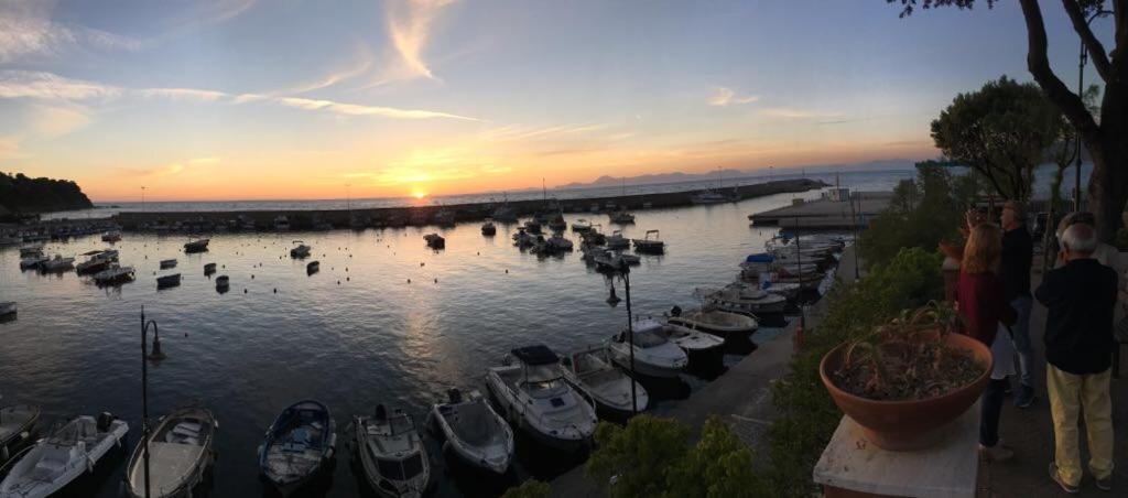 Quasi In Porto Rooms Castellabate Dış mekan fotoğraf